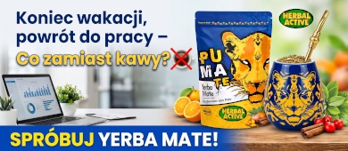 Koniec wakacji, powrót do pracy – co zamiast kawy? Spróbuj yerba mate!