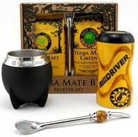 Zestaw Yerba Mate Bio Bombilla Starter Set, Tykwa termiczna Torpedo, Bombilla z kamieniem, Matero do auta