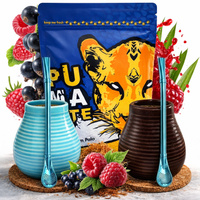 Zestaw Yerba Mate dla Dwojga PumaTe Red Vibe Matero Bombilla