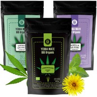 Najlepsza Yerba Mate w Polsce- organic 100 % liści