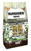 Rumianek - kwiat 