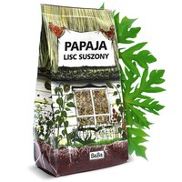 PAPAJA liść suchy